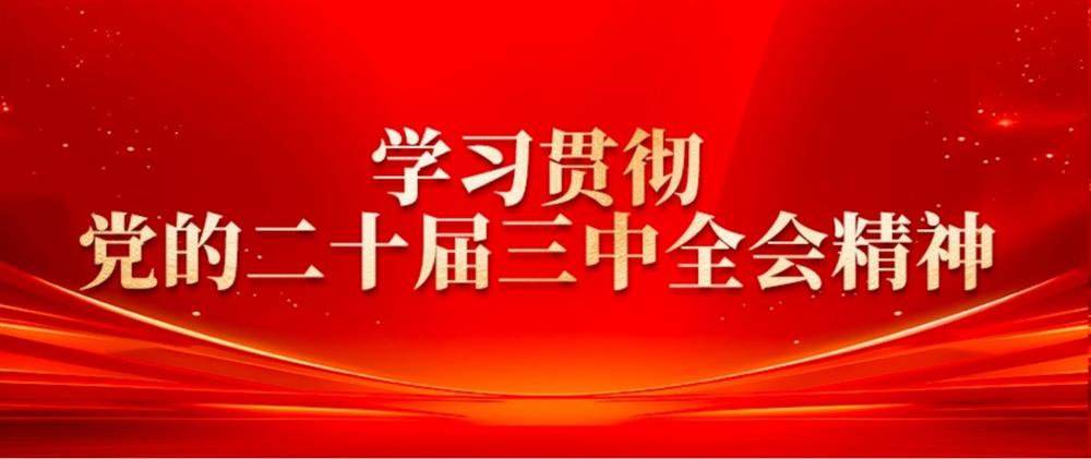學(xué)習(xí)貫徹黨的二十屆三中全會精神③ 濟糧集團黨委書記、董事長王暉： 提升綠色倉儲水平，扛穩(wěn)糧食安全重任
